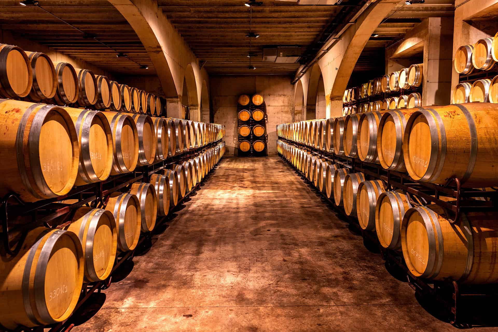Sala de barricas en bodega de Guanajuato — ambiente del Museo del Vino